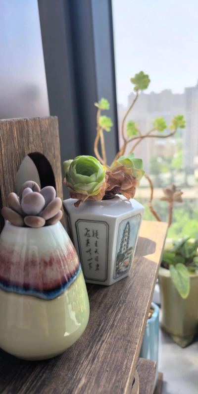 山地玫瑰什么时候浇水 山地玫瑰什么时候浇水