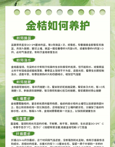 金橘的繁殖方法 金橘的繁殖方法