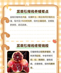 石榴的繁殖方法 石榴的繁殖方法