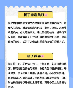 送栀子花代表什么 送栀子花代表什么