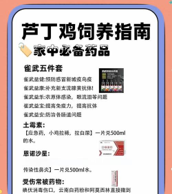 养鹌鹑需要准备什么 养鹌鹑需要准备什么