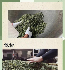 煮普洱茶的方法 煮普洱茶的方法