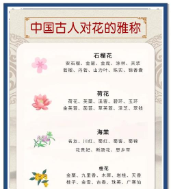 哪些花有美誉之称 哪些花有美誉之称