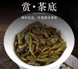 鸭屎香单丛茶的特点是什么 鸭屎香单丛茶的特点是什么