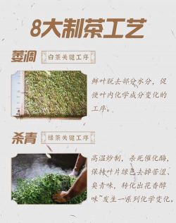 月光白茶工艺制作过程 月光白茶工艺制作过程