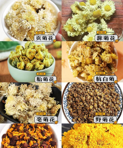 菊花茶的种类有哪些 菊花茶的种类有哪些