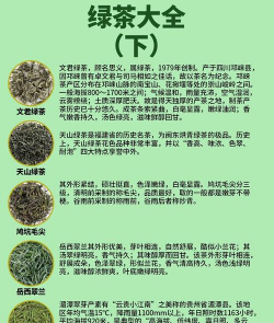 绿茶都包括什么茶 绿茶都包括什么茶