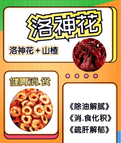 洛神花的功效作用与禁忌 洛神花的功效作用与禁忌