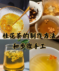 如何做桂花茶 自制桂花茶怎么做 如何做桂花茶 自制桂花茶怎么做