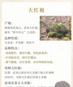 喝茶的好处与功效 喝茶的好处与功效