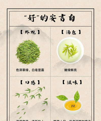喝安吉白茶的九大功效 喝安吉白茶的九大功效