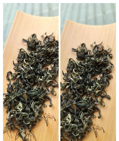 都匀毛尖茶产地在哪里 都匀毛尖茶产地在哪里