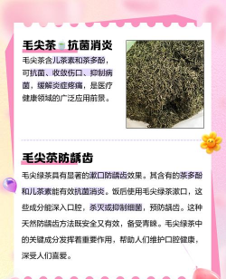 信阳毛尖茶的功效与作用 信阳毛尖茶的功效与作用