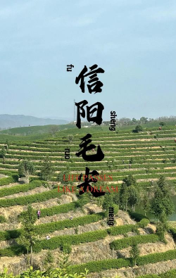 绿茶的色泽要求三绿是指哪三绿 绿茶的色泽要求三绿是指哪三绿