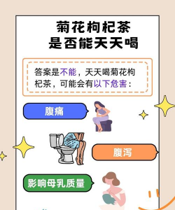 菊花茶过夜能再喝吗 菊花茶过夜能再喝吗