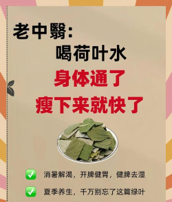 荷叶茶的功效与作用 荷叶茶的功效与作用