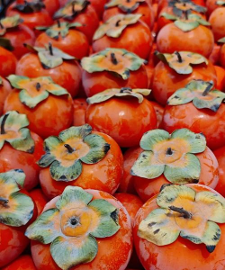 秋季吃什么水果好 秋季吃什么水果好