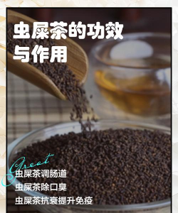 虫屎茶是什么茶 虫屎茶的功效与作用 虫屎茶是什么茶 虫屎茶的功效与作用