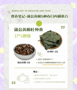 蒲公英根泡水喝的功效与禁忌 蒲公英根泡水喝的功效与禁忌