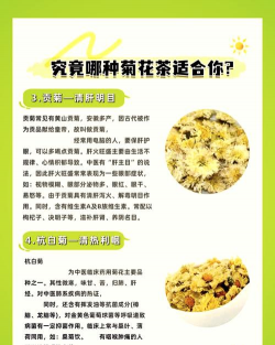 野菊花茶的功效与作用 野菊花茶的功效与作用