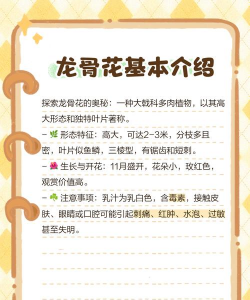 骨刺花养殖方法和注意事项 骨刺花养殖方法和注意事项