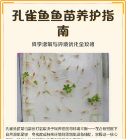 鱼苗的养殖方法和注意事项 鱼苗的养殖方法和注意事项