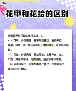 花甲的养殖方法和注意事项 花甲的养殖方法和注意事项