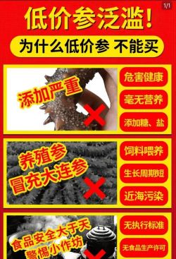 大连海参多少钱一斤 大连海参多少钱一斤