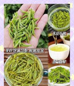 2024年黄山毛峰多少钱一斤 2024年黄山毛峰多少钱一斤