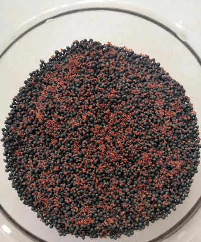 草缸种植草苗怎么种植的 草缸种植草苗怎么种植的