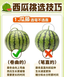 西瓜多少钱一斤 西瓜多少钱一斤