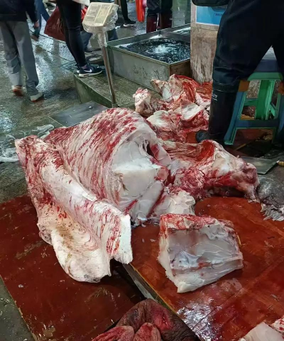 龙趸鱼多少钱一斤 龙趸鱼多少钱一斤