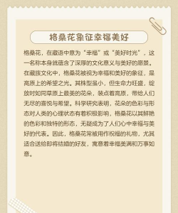 格桑花花语及传说是什么 格桑花花语及传说是什么