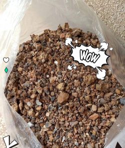 煤渣上种什么能生长 煤渣上种什么能生长