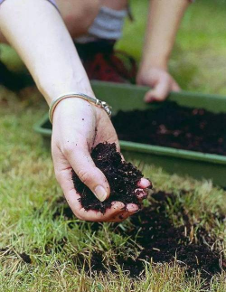 7天简易自制有机肥料 7天简易自制有机肥料