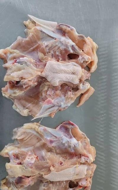 2024年鸡架多少钱一斤 2024年鸡架多少钱一斤