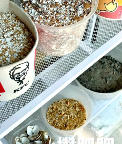 农村有机肥的制作方法 农村有机肥的制作方法