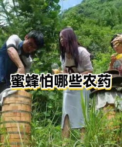 蜜蜂最怕什么农药 蜜蜂最怕什么农药