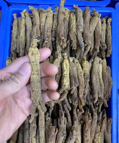 2024年红参的价格多少钱一斤 2024年红参的价格多少钱一斤