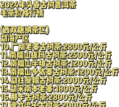 2024年普洱茶多少钱一斤 2024年普洱茶多少钱一斤
