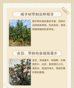 橘子树有刺吗 橘子树有刺吗