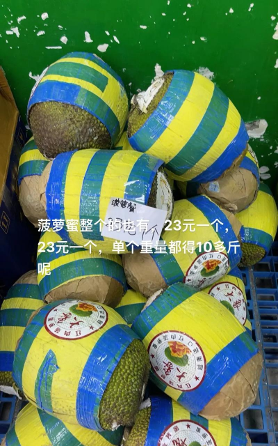 2024年菠萝蜜多少钱一斤 2024年菠萝蜜多少钱一斤