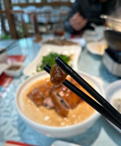 芥蓝是什么菜 芥蓝是什么菜