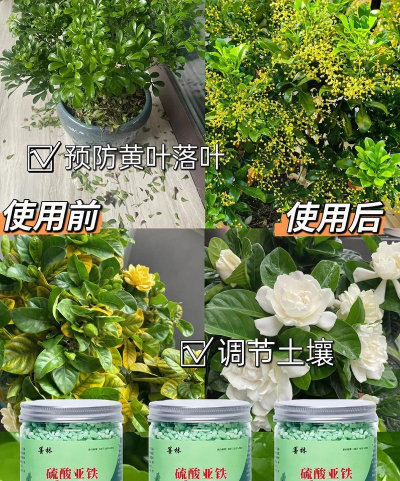 哪些花有酸性物质 哪些花有酸性物质