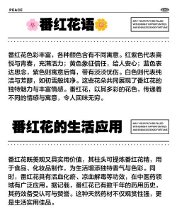 番红花的花语是什么 番红花的花语是什么