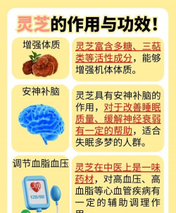 2024年人工灵芝多少钱一斤 2024年人工灵芝多少钱一斤