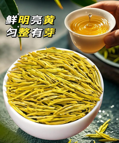 2024年黄金芽茶叶多少钱一斤 2024年黄金芽茶叶多少钱一斤