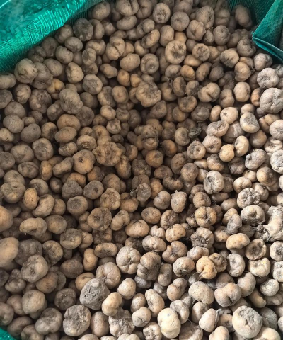 2024年元胡种子多少钱一斤 2024年元胡种子多少钱一斤