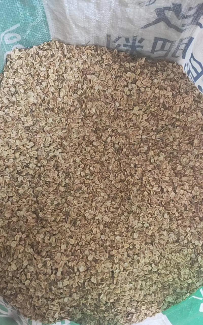 2024年白芷多少钱一斤市场价 2024年白芷多少钱一斤市场价