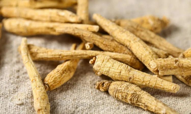 2024年西洋参多少钱一斤 2024年西洋参多少钱一斤